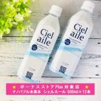 水 水素水 500ml 12本 6本入 2ケース ナノバブル 国内 ミネラルウォーター シェルエール