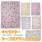 毛布 キャラクター毛布 もこもこ シープボア 毛布  ハローキティ すみっコぐらし マイメロディ 幼稚園 保育園 お昼寝 140×200ｃｍ 【キャラクター毛布】