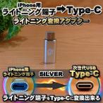 iPhone для подсветка кабель - USB Type C терминал . изменение делать адаптор x1 [ серебряный ]