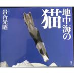 地中海の猫