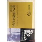 橋はなぜ落ちたのか: 設計の失敗学 (朝日選書 686)