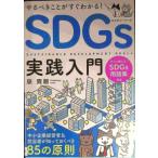 ya...... сразу понимать! SDGs практика введение ~ средний маленький предприятие менеджер &amp; ответственный ........85. принцип 