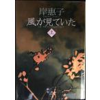 風が見ていた(上)