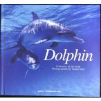 Dolphin (Seiseisha photographic series?Creatures of the wild) ( синий . фирма фото графика 