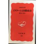 イスラームと国際政治: 歴史から読む (岩波新書 新赤版 583)
