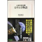 小惑星探査機 はやぶさ物語 (生活人新書)