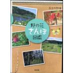.. цветок san . иллюстрированная книга 