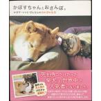 かぼすちゃんとおさんぽ。 -かぼす・つつ