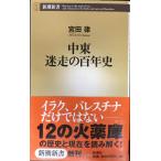 中東迷走の百年史 (新潮新書 71)
