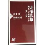  север статья .. Kanto .. дорога приятный земля .... мужчина (PHP новая книга )