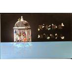  прекрасный женщина коллекция 