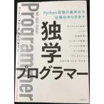 .. программист -Python язык. основы из работа. способ до 