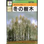冬の樹木 (検索入門)