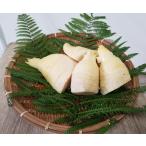 yu.. побеги бамбука * Кагосима префектура производство *1kg(500g×2 упаковка ) вакуум упаковка . доставка [ прохладный рейс ]