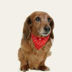 即納 首輪 バンダナ柄 犬用 ドッグ