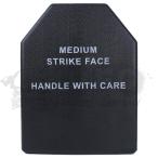 [UFC] муляж plate Medium(260x330x30)