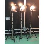 *LPL VIDEO LIGHT 1500 500w×3 лампа галогеновая лампа место хранения жесткий чехол * spec Avand a-1 шт * spec Alain p1 шт имеется 