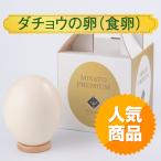 今だけポイント10倍♪国産 ダチョウ食卵 ダチョウ ダチョウの卵 卵 目玉焼き バーベキュー イベント ギフト 卵焼き 目玉焼き キャンプ