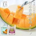 赤肉メロン 1玉 1kg以上