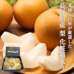  груша .. для прохладный рейс Nagano префектура производство несессер 5 шар примерно 1.2kg товар вид оставив решение кому-то другому . вода . вода юг вода и т.п.. какой-нибудь нет 