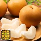  груша есть перевод . для бытового использования Nagano префектура производство 5kg товар вид оставив решение кому-то другому . вода . вода юг вода и т.п.. какой-нибудь нет 