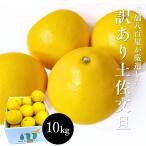  помело есть перевод земля . помело 10kg 20~30 шар передний и задний (до и после) ....bn язык Kochi префектура производство размер оставив решение кому-то другому загрязнения чёрный пункт есть 