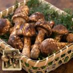  сосна . есть перевод для бытового использования 100g China производство matsutake ....