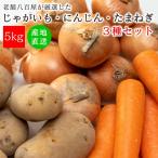  овощи комплект 3 вид морковь шар лук порей картофель 5kg Hokkaido производство набор бесплатная доставка местного производства комплект стандартный овощи 