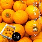  декоративный элемент pon есть перевод Wakayama производство 5kg местного производства .... не . огонь ........ большой шар коробка мандарин 