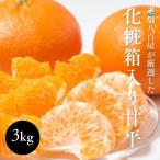 甘平 みかん かんぺい 愛媛県産 化粧箱 3kg 贈答用 ギフト