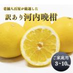 予約開始 4月中旬頃か�