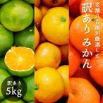  мандарин 5kg есть перевод Arita мандарин старый магазин . 100 магазин . тщательно отобранный Wakayama префектура производство . для бытового использования не комплект меласса .