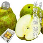  груша обыкновенная есть перевод Nagano префектура производство 1kg товар вид .. товар вид оставив решение кому-то другому la* Франция ru*rek che Aurora . нет . для бытового использования 