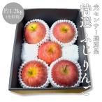 ショッピングりんご りんご 特選 糖度13.5度以上 ギフト 化粧箱 ふじ 光センサー選別品 約1.2kg 青森県産 長野県産 林檎 箱 リンゴ