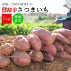 ショッピングさつまいも さつまいも 5kg 訳あり 送料無料 詰め合わせ 品種 サイズ 産地 おまかせ 紅はるか シルクスイート 紅まさり 鳴門金時