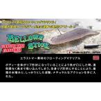 ジークラック　ベローズスティックフローティング３．８インチ