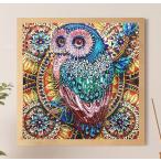  бриллиант искусство сова Aurora бисер бриллиант вышивка 40cm×40cm DIY 5D стразы произведение комплект начинающий бисер искусство da День матери подарок 