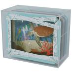 ペーパーシアター ディスプレイケース