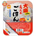 ショッピングあったか 東洋水産 あったかごはん 大盛 250g×20(10×2)個入