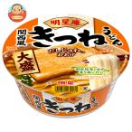 明星食品 明星庵 きつねうどん 大盛