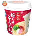ヤマダイ 手緒里庵 梅しそそうめん 30g×6個入｜ 送料別
