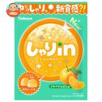  бегемот ya...ingmi мандарин 52g×10 пакет входить l доставка отдельно 