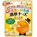 なとり 濃厚チーズ 21g Amazon 楽天 ヤフー等の通販価格比較 最安値 Com