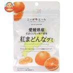JA全農 ニッポンエール 愛媛県産紅まどんな グミ 40g×10袋入| 送料別
