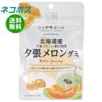 ネコポス JA全農 ニッポンエール 北海道産夕張メロン グミ 40g×10袋入｜ 全国送料無料