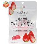 JA все сельское хозяйство Nippon e-ru Shiga префектура производство ......gmi40g×10 пакет входить l доставка отдельно 