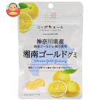 JA все сельское хозяйство Nippon e-ru Kanagawa префектура производство Shonan Gold gmi40g×10 пакет входить l доставка отдельно 