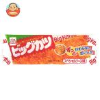 [爆買 お中元] すぐる ビッグカツ 1枚×30個入｜ 送料別