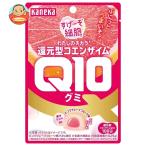 カネカ食品 わたしのチカラ 還元型�