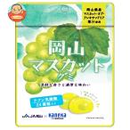 kaneka еда Okayama мускат g Mira пятно . кислота . входить 40g×10 пакет входить l доставка отдельно 